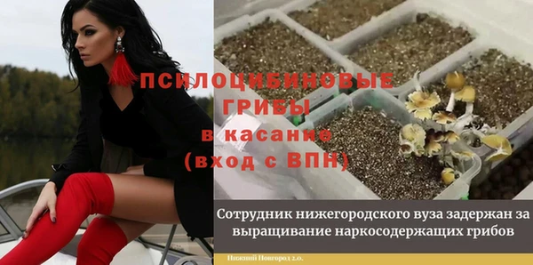 соль курить ск Алексеевка