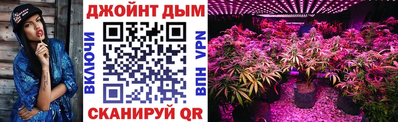 Бошки Шишки гибрид  KRAKEN ссылки  Волгодонск 